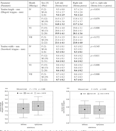 Table 3. Descriptive statistics (mean ± standard deviation) of the length and width of the palmaris longus tendonTabela 3