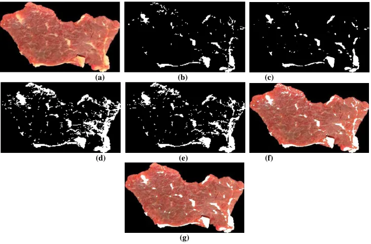 Fig. 2. The results of separating muscle and fat  