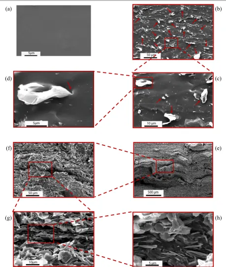 Figure 9. SEM images of the elastomer (a), and its 2.8 vol% (b)–(d) and 26.7 vol% (e)–(h) nanocomposites.