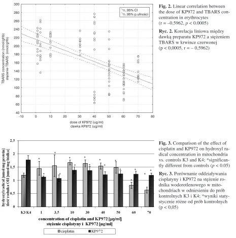Fig. 2. Linear correlation between