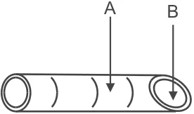 Fig. 1. Schematic presentation of a single capillarysection to show its internal and external surface avail−able to the AFM cantilever tip: A – external capillarysurface, B – internal capillary surface