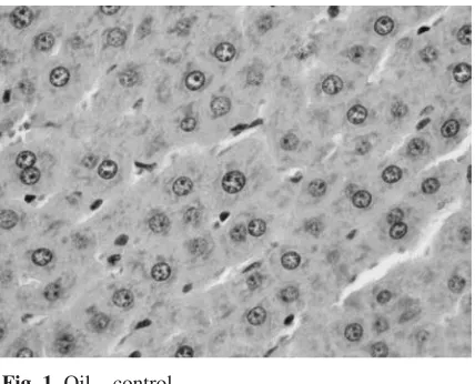 Fig. 1. Oil – control 