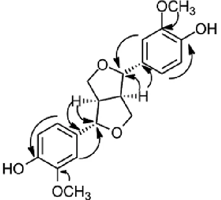 Figure 3. Selected HMBC correlation of compound 4.