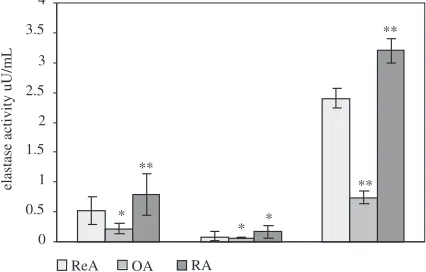 Fig. 1. Elastase activity, using low−molecular−weightsubstrates, expressed in µU/mL of SF in ReA, OA,and RA samples (column 1) after incubation with 10mM EDTA (column 2) and after activation with 1 mMp−APMA (column 3)