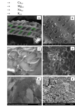 Figure 5. Removal of cations and anions in leather processing effluent by EC with and without adsorbents   