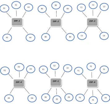 Figure 1.  Main Groups Formed for Each Experiment 