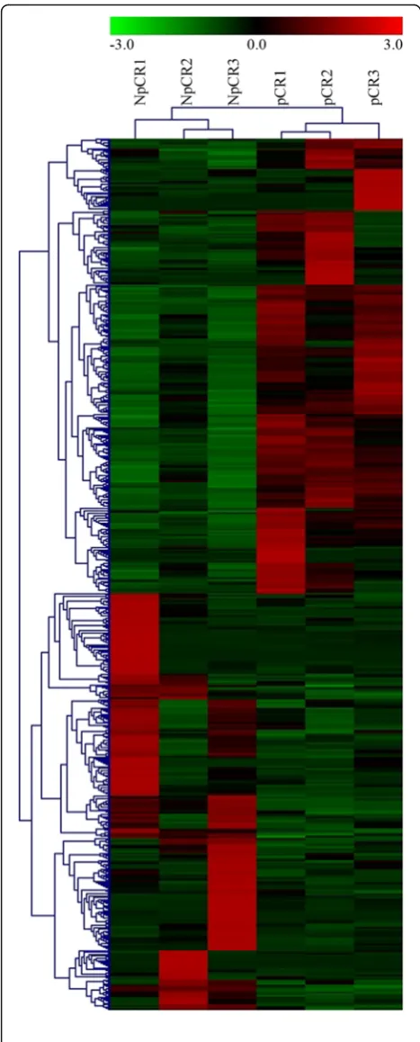 Fig. 2 Cluster analysis of gene expression based on digital geneexpression sequencing (DGE-seq) data