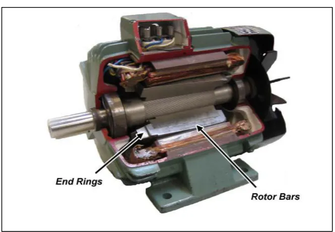 Figure 2.1: Inside view of an induction motor 