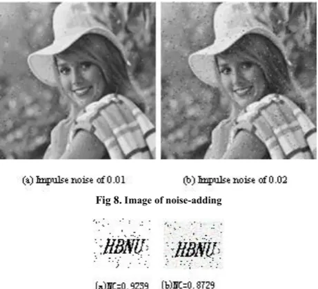 Fig 8. Image of noise-adding