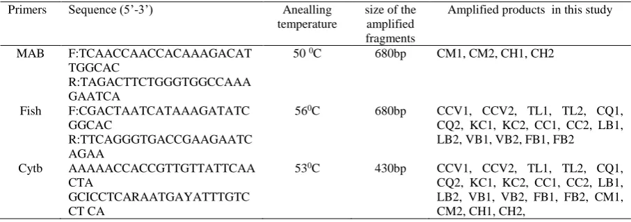 Table 2. Characteristics of primers  