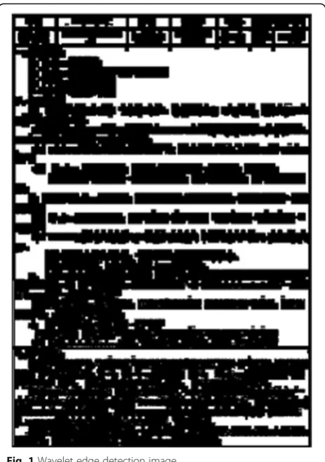 Fig. 1 Wavelet edge detection image