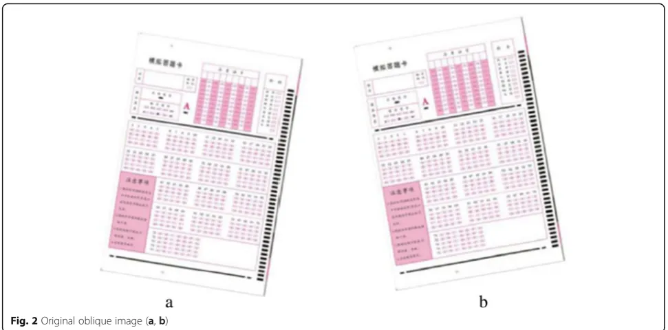 Fig. 2 Original oblique image (a, b)