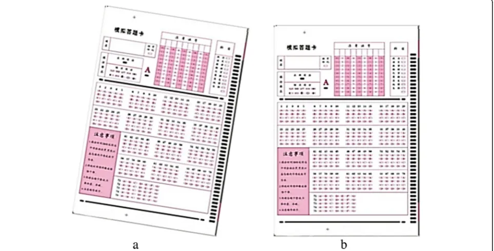 Fig. 4 Original oblique image (a, b)