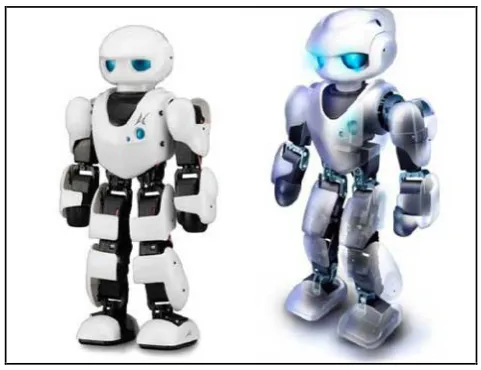 Figure 2.6: Humanoid Robot