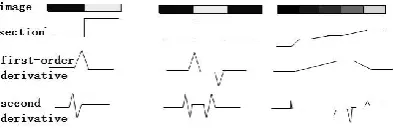 Figure 1: The derivative description illustration of grayscale mutant images 