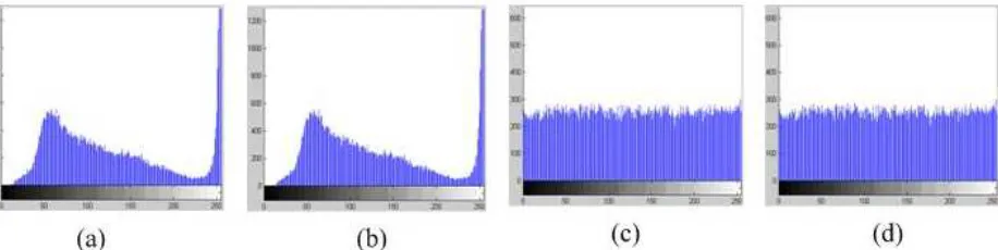 Figure 6. Histogram of the original image (a), Histogram of the image after Arnold position transformation(b), Histogram of the image  after gray value encryption(c), Histogram of the image after sequence position transformation 