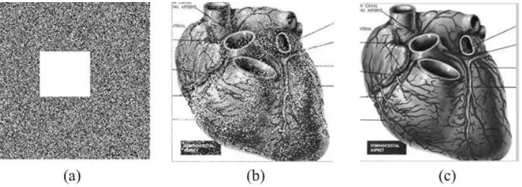 Figure 7. Attacked image 1(a), decrypted image (b),  image after noise reduction(c) 