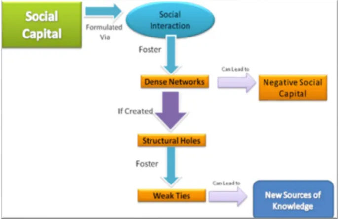 Figure 1.  Social Capital as a Theoretical Frame 