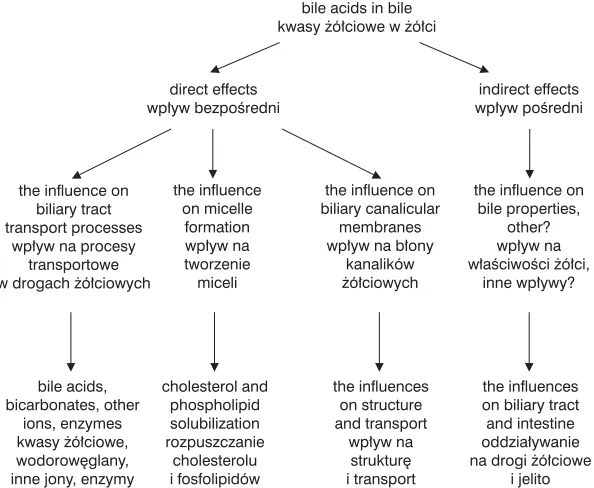 Fig. 2. The effects of bile acids (particularly exhibiting hydrophobic character) in bile on bile properties and theirfunctions within the biliary tract [5, 28–31]