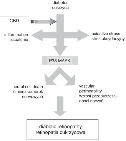 Fig. 5. Influence of diabetes on both oxidative stressand inflammatory mediators [35]