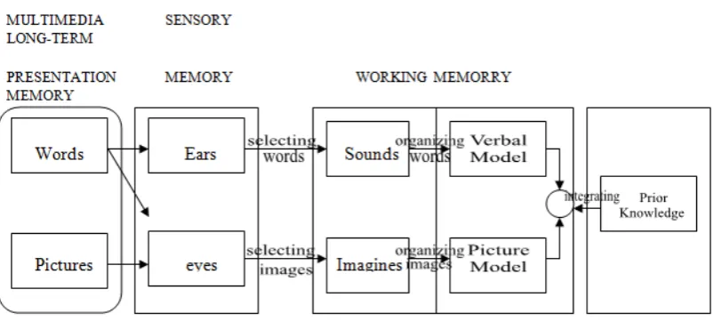 Figure 2.  Cognitive theory of multimedia learning. Adapted from “The Cambridge handbook of multimedia learning