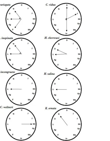 Figure 2.occurrences of 8 species. Single arrow represents one-time occurrence of the species