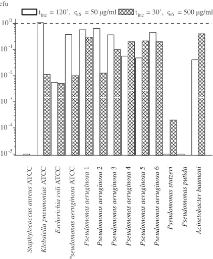 Fig. 1. Cfu parameter for all strains examined withinthe two kinds of experiments. The data are normalizedto the cfu of respective control group: tinc – incubationtime; ce6 – chlorin e6; cfu – colony forming units