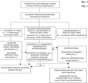 Fig. 1. Treatment of PPH