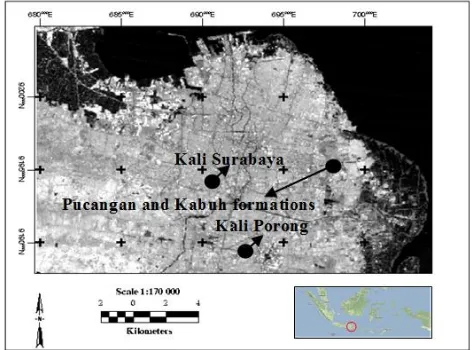 Fig. 1 Current Surabaya city map (ITS – Geographic data)    