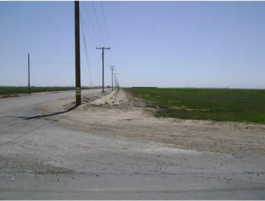 Figure 3.1-8. From the northeast corner, looking south.