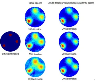 Fig. 4: Different initial images for sensitivity matrix update   