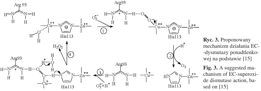Fig. 3. A suggested ma−