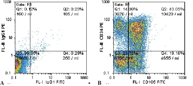 Fig. 3. CD105 expression by flow