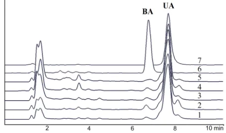 Fig. 2: Representative LC-MS chromatogram (SIM mode) of the APE and standard solution of UA and BA at m/z 457
