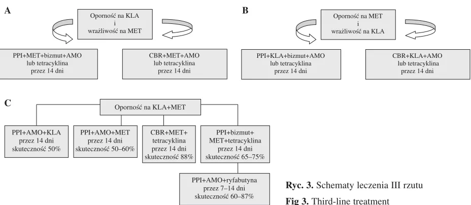 Fig 3. Third−line treatment