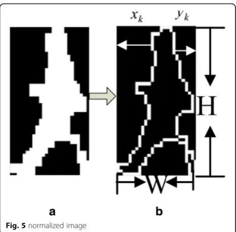 Fig. 5 normalized image