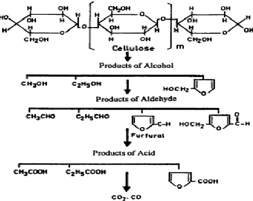 Figure 2.1: Cellulose molecular decomposition [6] 