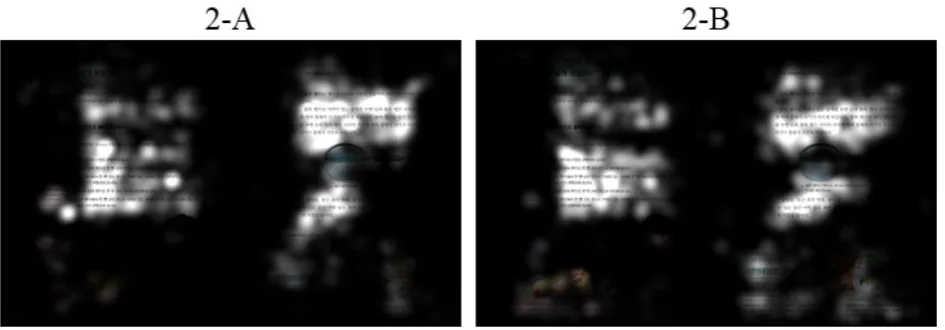 Figure 3.  Relative duration gaze opacity of task 2 