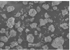 Fig.3-1 SEM image of silica scale (×900)      Fig.3-2 SEM image of silica scale (the loose part) (×7000) 