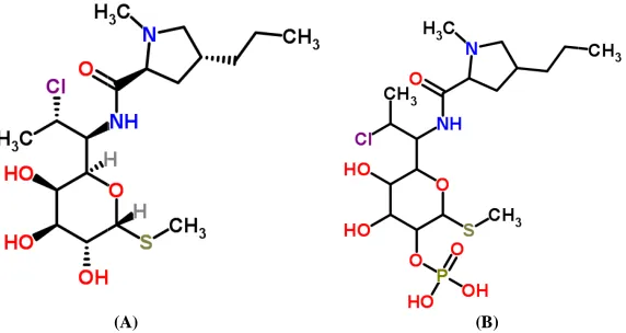 Figure 1:  Structure of Clindamycin (A) and Clindamycin Phosphate (B) Figure 1: 