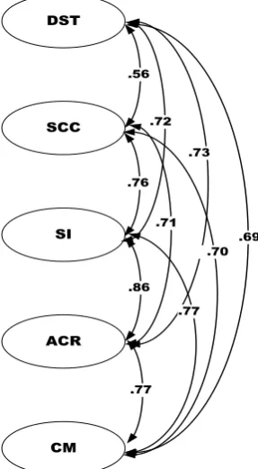 Figure 3.  First Order CFA connection diagram 