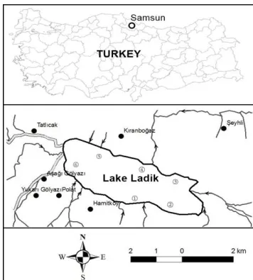 Figure 1. et al., 2014).    Location of sampling sites in Lake Ladik Ladik (modified from Yazıcı    