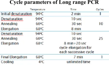 Table 2. Cycle parameters of Long range PCR 