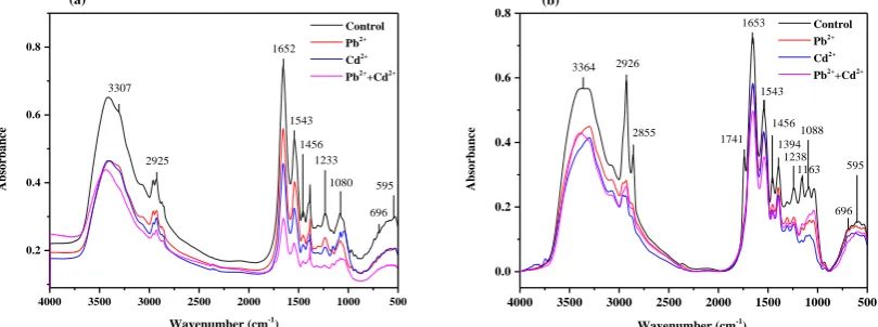 Figure 1. The average FT-IR spectra of Crucian carp’s liver (a) and muscle (b), representing the control, Pb2+, Cd2+ and Pb2++Cd2+ exposed groups for 21days  in the region of 4000-500 cm-1