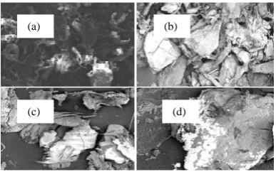 Table 2: Chemical Composition and  Concentration of Fish Scales 