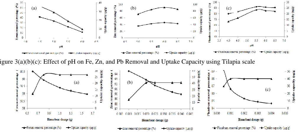 Figure 4(a)(b)(c): Effect Of Biosorbent Dosage on Fe, Zn, Pb Removal and Uptake Capacity using Tilapia scale   