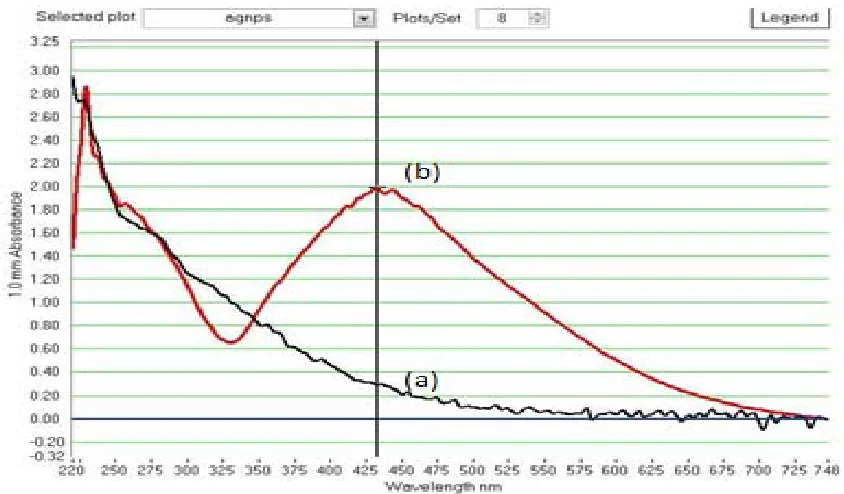 Fig. 1: A colloidal solution of (A) Lepidagathis cristata Leaves Extract (Wine red color), (B) Silver Nitrate metal ion solution (colorless) and (C) Ag NPs (Dark brown color).