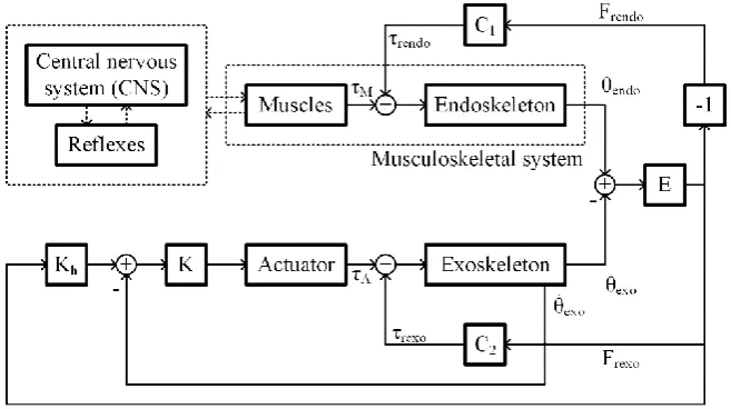 Figure 2: Block diagram showing Kazerooni’s algorithm applied to Human-FAD interaction