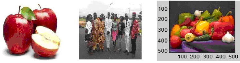 Figure 4. Original images for the performance evaluation analysis. 