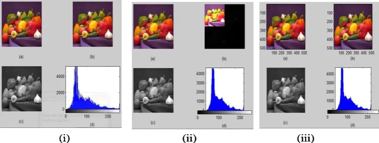 Figure 5. (i) DCT, (ii) DWT and (iii) SPIHT performance evaluations results for apple